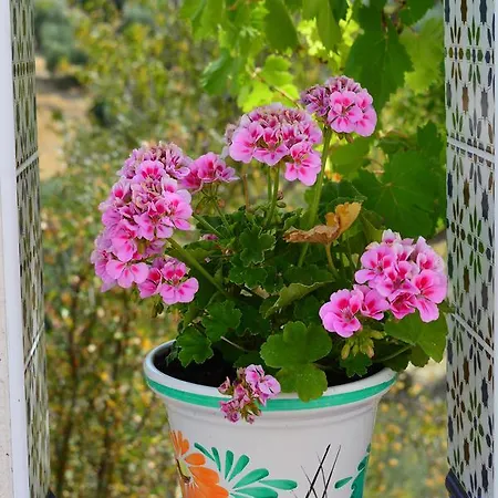 Casa El Castano فندق مبيت وإفطار