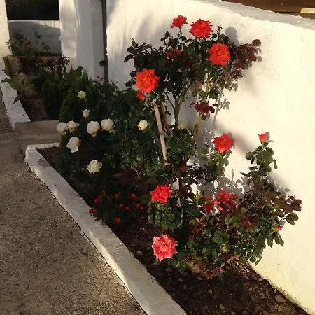 Bed & Breakfast Casa El Castano Martos