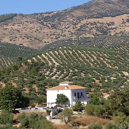 Bed & Breakfast Casa El Castano